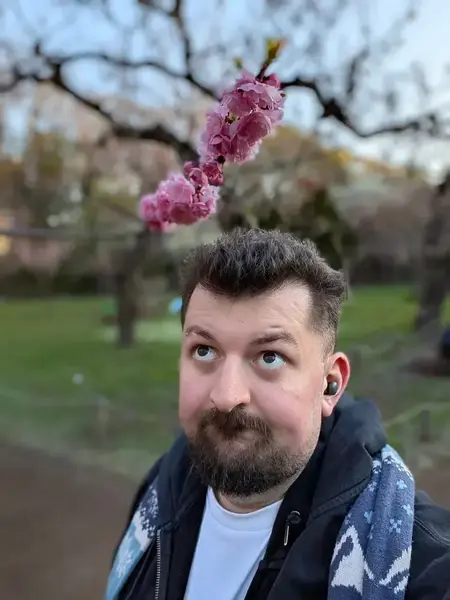 Alec cherry blossom park