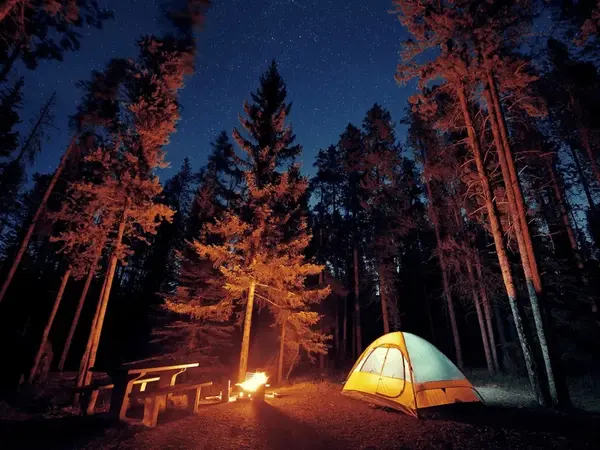 Glamping & Camping