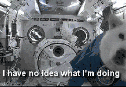A GIF that describes my life