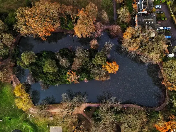Aerial pond autumn trees