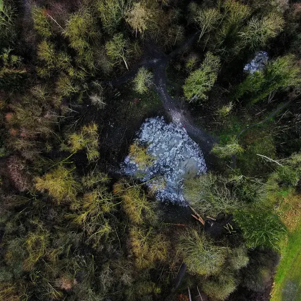 Aerial snowy winter forest