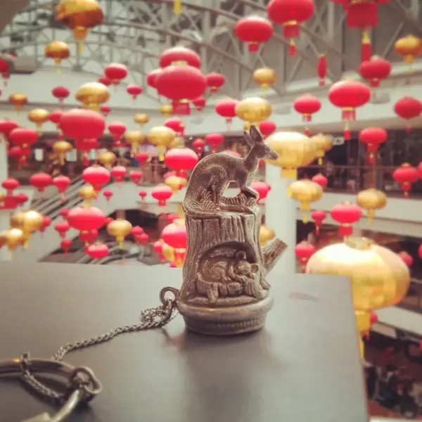 Chinese lanterns in Sydney (with my little kangaroo & koala statue)