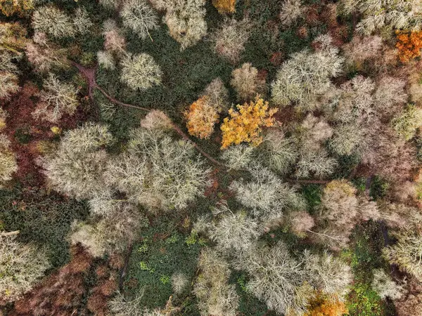 Aerial drone photography shot 2