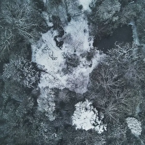 Aerial drone photography shot 5
