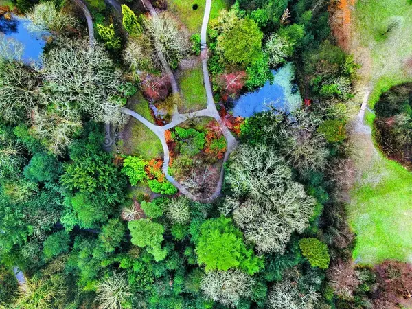 Aerial drone photography shot 6