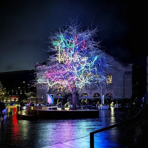 Illuminated led tree night