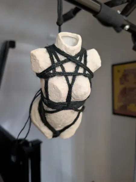 Shibari rope bondage art