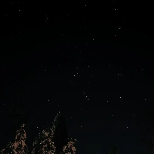Starry night sky