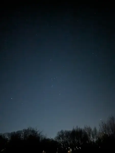 Starry night sky trees