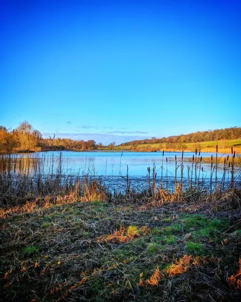 Tranquil lake blue sky
