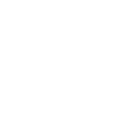 NZMACI Foundation logo