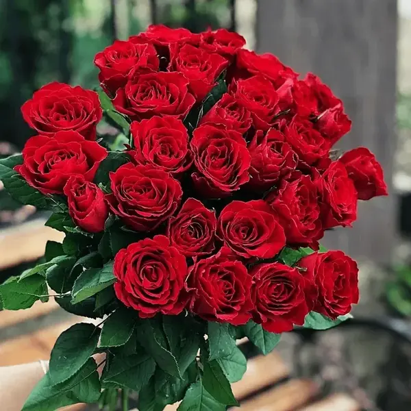 Roses